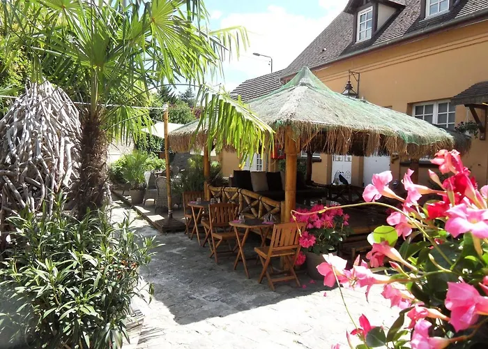 Le Moulin De Lily *